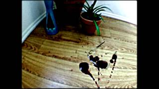 I SPEAK MACHINE "Live Score Tour" With FIlms: Zombies 1985, The Silence, & GaggleBox