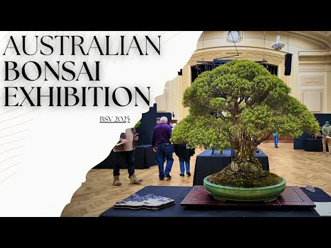 Australian Bonsai Exhibition | Walk Through
