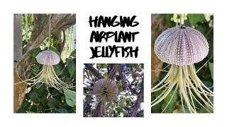 How to make a hanging air plant jellyfish!