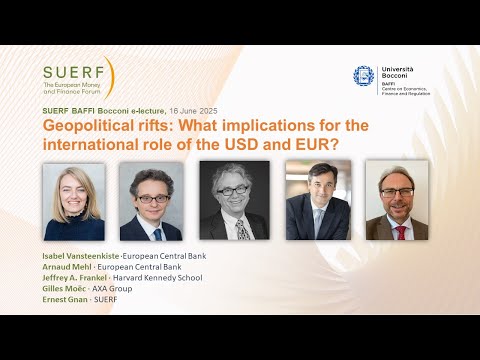 SUERF Bocconi   Geopolitical rifts   implications for the international role of the USD and EUR