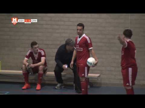 Samenvatting DZV - CFM 16/17