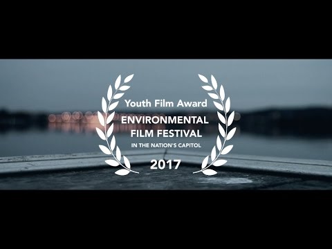 99¢ | A Short Film About the Environment