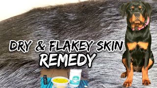 Holistic Remedy for Dry Itchy Flakey Skin for Your Dog | Rottweiler Puppy