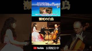 Download lagu サン＝サーンス：白鳥 （Vl.豊嶋泰嗣, Vc.藤森亮一,Pf.武本京子）ピアノトリオ　Saint-Saëns-Le Cygne(The Swan)　 #shorts mp3