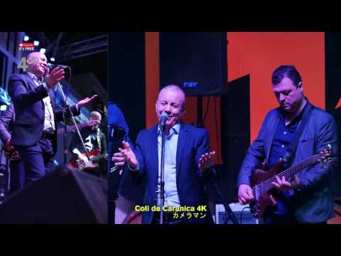 Gica Coada & Steaua di Vreari - Treambura pamporea