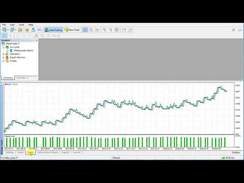 Video Boxmaster RSIx2 MT4