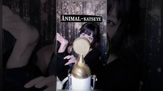 【フェイクチャレンジ】Animal / KATSEYE 歌ってみた ver.ココル原人　　　　　#Animal #KATSEYE #歌ってみた