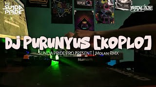 Download lagu DJ PURUNYUS [KOPLO] MOLAN RMX!! ABDI GADUH KABOGOH ANYAR MOAL ELEH KU NU TIPAYUN mp3