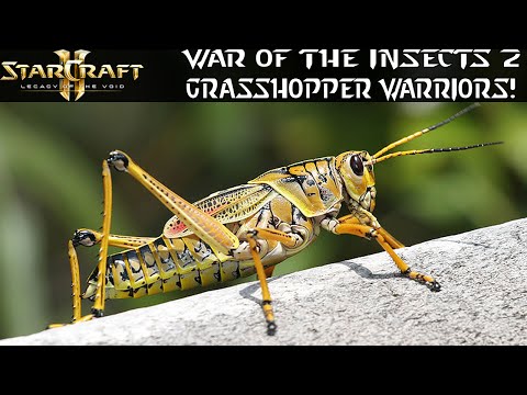 Grasshopper Warriors! Swarm Legion! - War of the Insects 2 - Starcraft 2 Mod