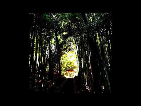 Cio D'Or and Donato Dozzy present J