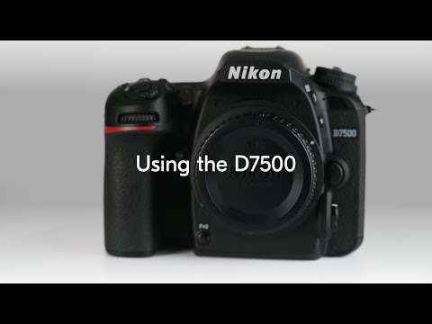 Nikon D7500 18–105 mm f/3.5–5.6G ED VR video