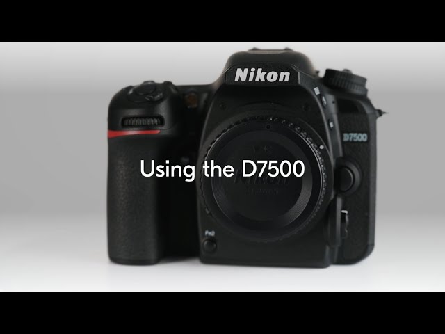 Caméra Reflex Nikon D7500 20,9MP 4K WiFi + AF-S DX NIKKOR 18-105mm VR AF 51 points video