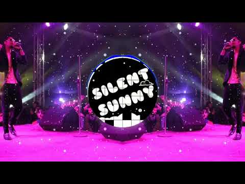 Lethal Combination [BASS BOOSTED] Bilal Saeed | Silent Sunny