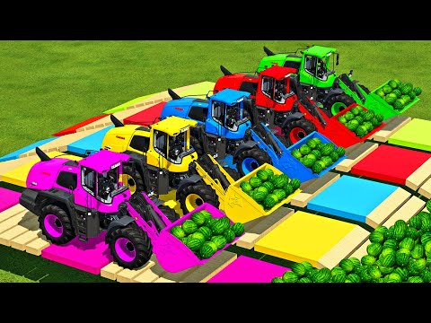 LOAD & TRANSPORT WATERMELONS WITH TRACTORS & CLAAS WHEEL LOADERS - Farming Simulator 22