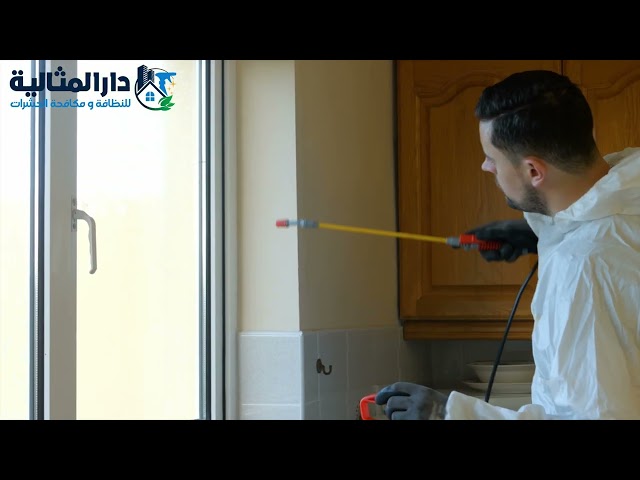 شركة مكافحة حشرات بالقطيف