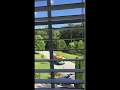 Stupid Ice Cream Truck