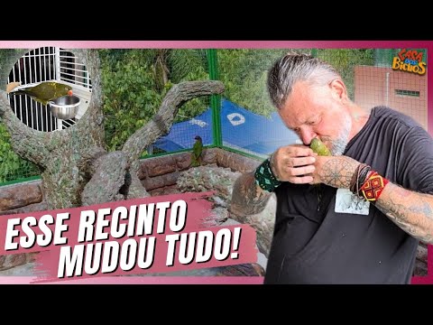 🦜 WE CREATED A NEW ENCLOSURE FOR THE LORIS AT THE PET HOUSE