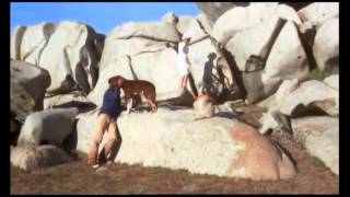 LARRY YOUNG evening (1967)