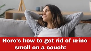 How To Get Rid of Urine Smell On a Couch [Detailed Guide]