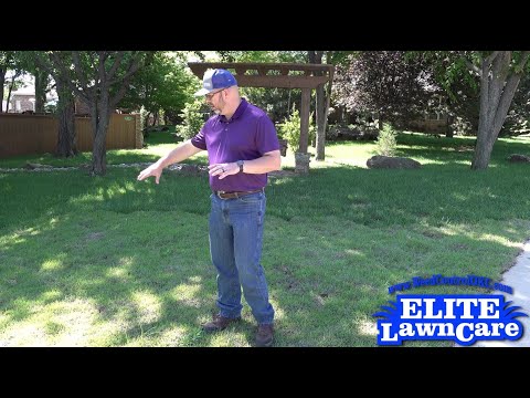 How To: Lay Sod on Hills