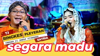 Download lagu SEGARA MADU // DI GARAP RINGKES ..... mp3 Download lagu SEGARA MADU // DI GARAP RINGKES ..... mp3