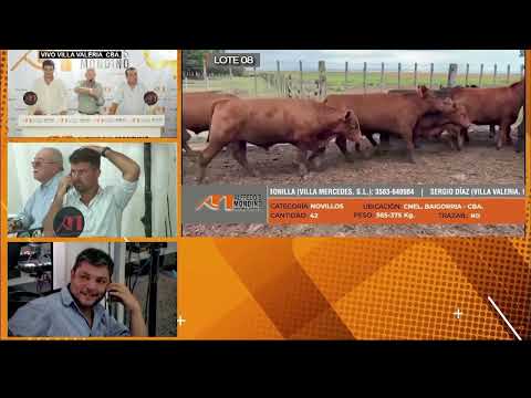 16-03-23 - Remate Televisado de Alfredo S. Mondino - Villa Valeria, Córdoba