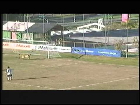 Thiago Amaral