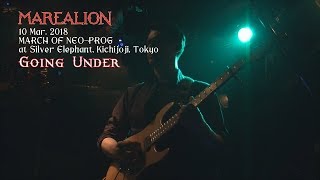 Marealion (Marillion tribute) - 10MAR2018 - 08 - Going Under