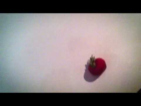 Video thumbnail for Bäms