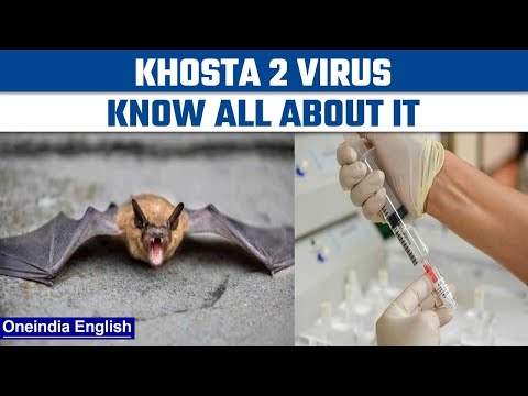 COVID-like virus Khosta 2 found in Russian bats is resistant to vaccines | Oneindia news * news