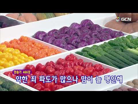 2023.11.19 (Inglês) Adoração do Domingo de Ação de Graças da Colheita (11h30)