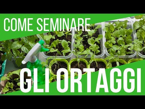 , title : 'COME SEMINARE GLI ORTAGGI | TRUCCHI PER UN RISULTATO STREPITOSO | ORTO E GIARDINAGGIO'