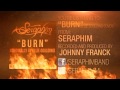 Ellie Goulding - BURN (Seraphim cover) 