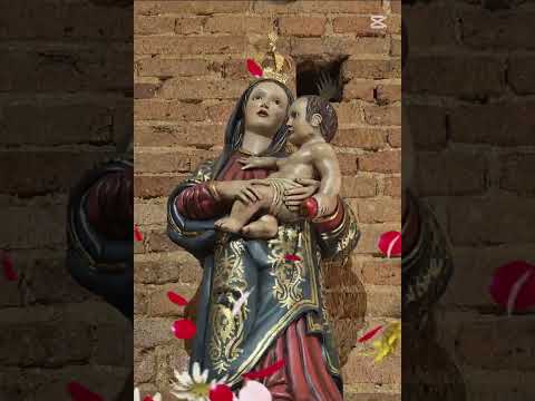 🌹 20 de Junio Nuestra Señora de los Remedios 🙏✨#fe #oración