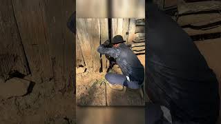 Mistério no Porão abandonado - Ficamos sem Palavras depois de encontrar esse Tesouro dentro