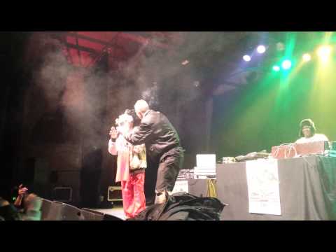 Lee scratch perry & Mad Professor