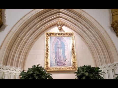 Fiesta de la Virgen de Guadalupe | Catedral Guadalupe