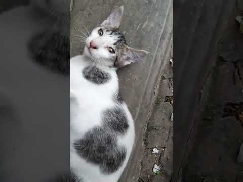 🍬 candy❤️❤️