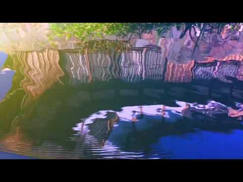 KRIS KEOGH & ENDURANCE 'In Autumn' (Official Video)