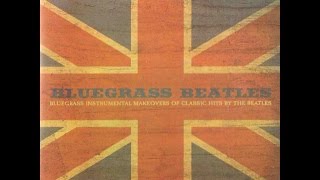 Bluegrass Beatles - I Will - Craig Duncan