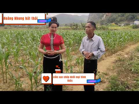 Hoàng Nhung hát thái hoàng nhung lường hịa hát giao duyên cực hay khắp báo sao muôn mết cớ.