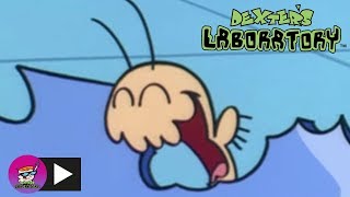 Dexter's Laboratory | A Boy and His Bug | Cartoon Network