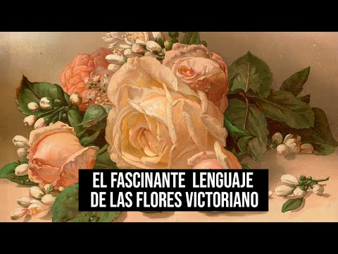 Vídeo: Flores: significado, símbolos e interpretações