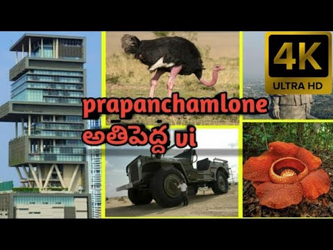 World's biggest things(4K)