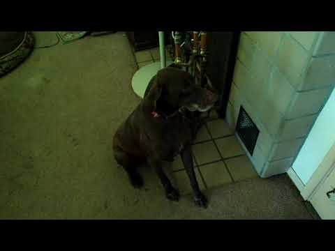 She won't let me leave