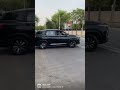 BLACK BEAUTY MG Hector Black ️ ️