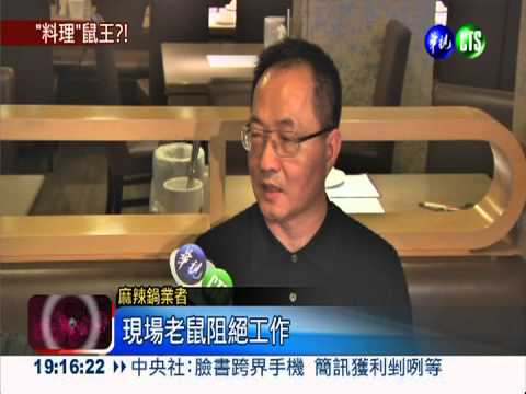 名店大啖麻辣鍋 驚見老鼠超噁心