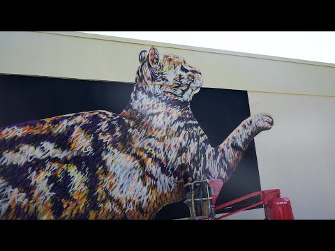 Portrait : A-MO, street artiste bordelais