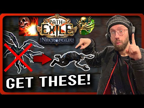 DD PSA: CRAZY NEW CORPSES FOR INSANE DD DAMAGE in PoE 3.24 Necropolis!