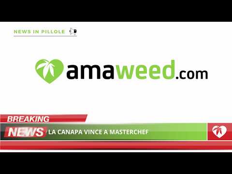 Canapa News: La canapa vince a MasterChef